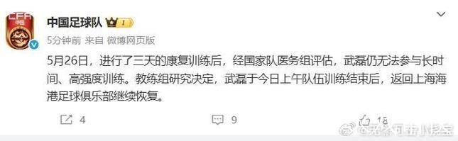 武磊返回俱乐部继续恢复 大概率无缘国足18强赛 武磊返回俱乐部继续恢复 大概率无缘国足18强赛