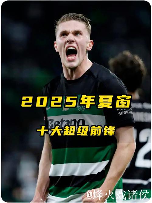 2025年欧洲足坛夏窗:英超创纪录 红军包揽前3